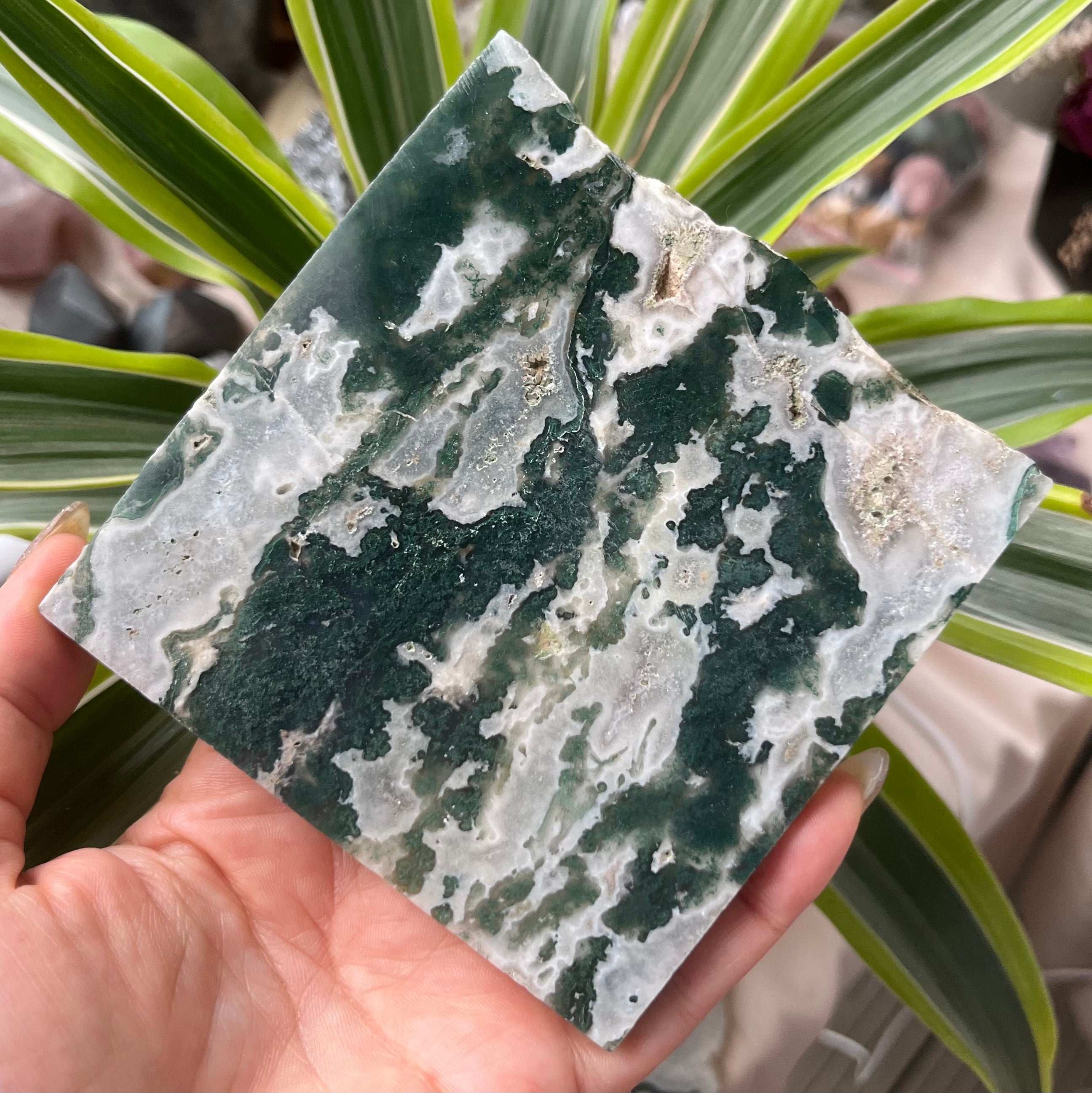 Moss Agate Slice - Optimism & Courage 2- 10.4cm x 10.7cm Crystals