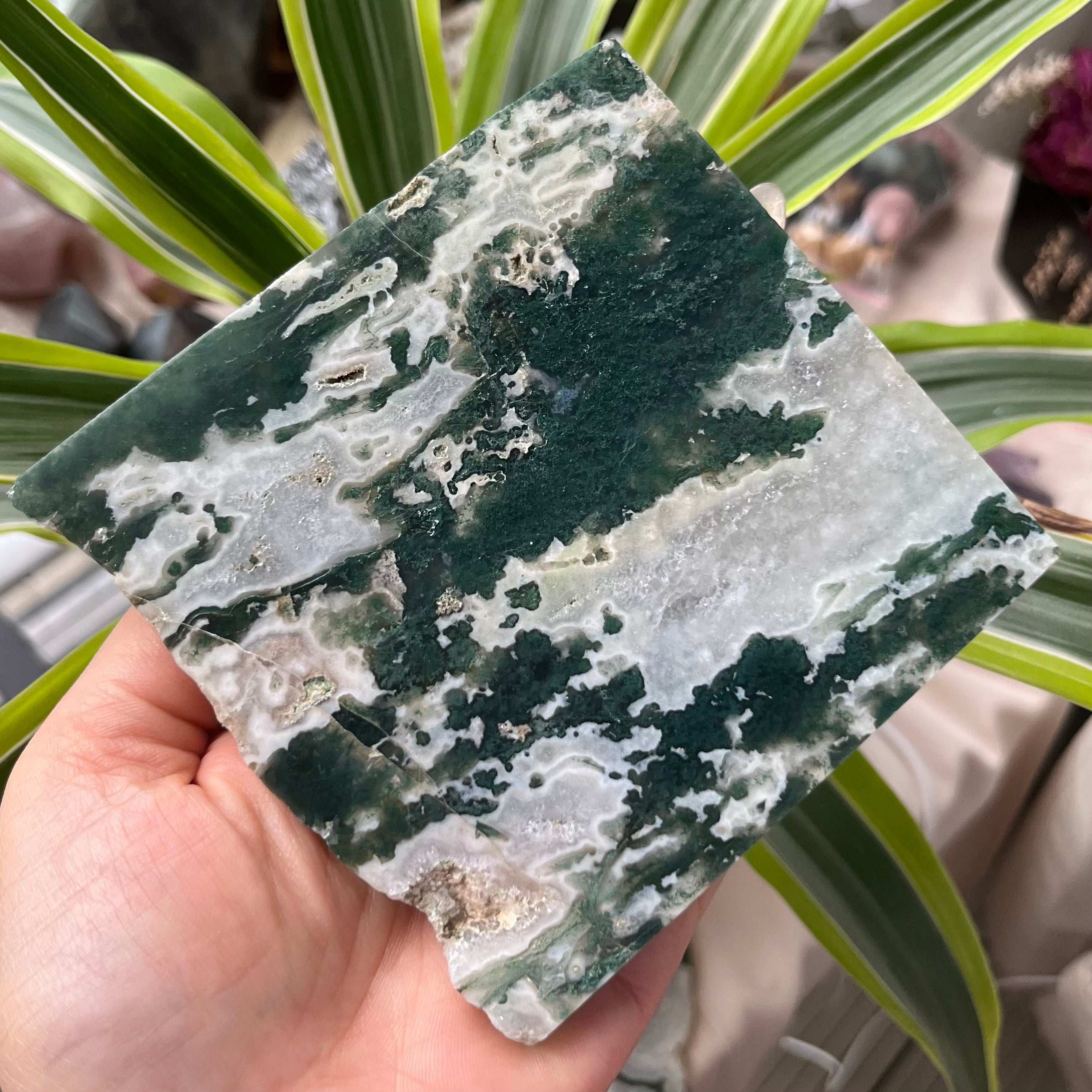Moss Agate Slice - Optimism & Courage Crystals