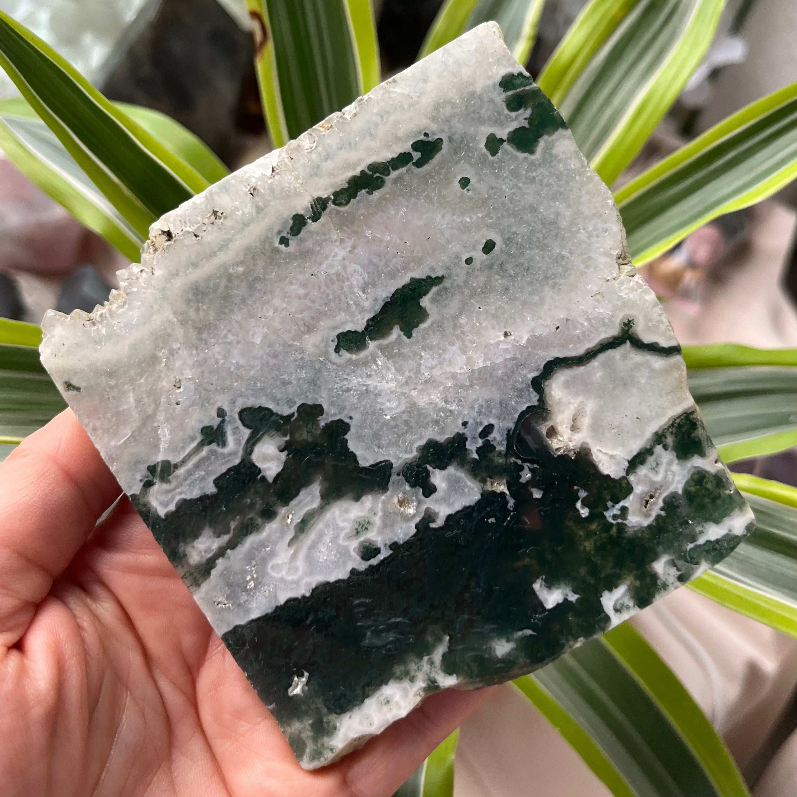 Moss Agate Slice - Optimism & Courage Crystals