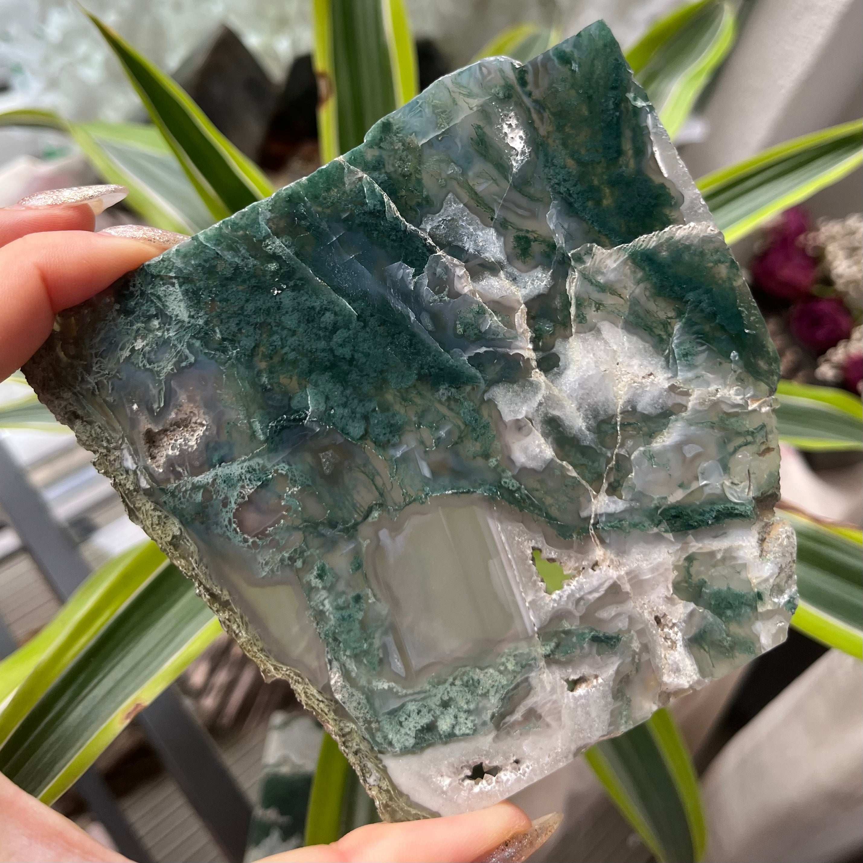Moss Agate Slice - Optimism & Courage Crystals