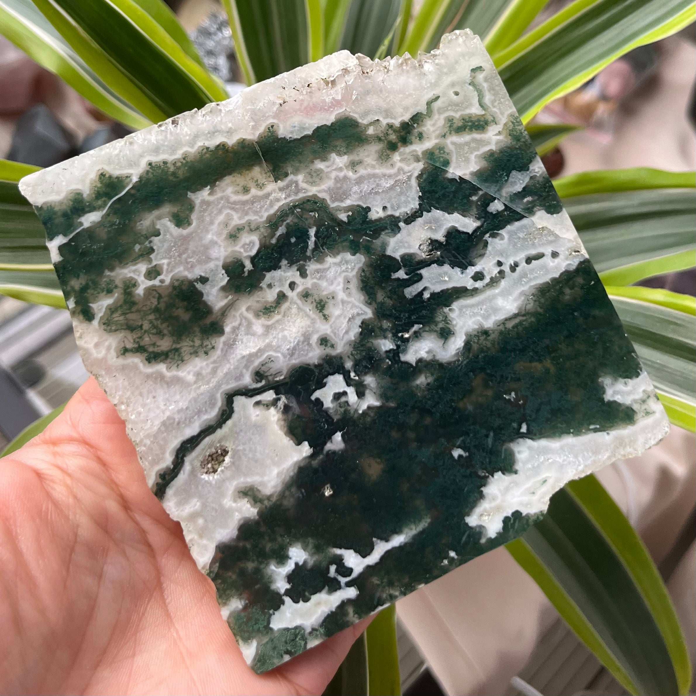 Moss Agate Slice - Optimism & Courage 3- 10cm x 10.5cm Crystals