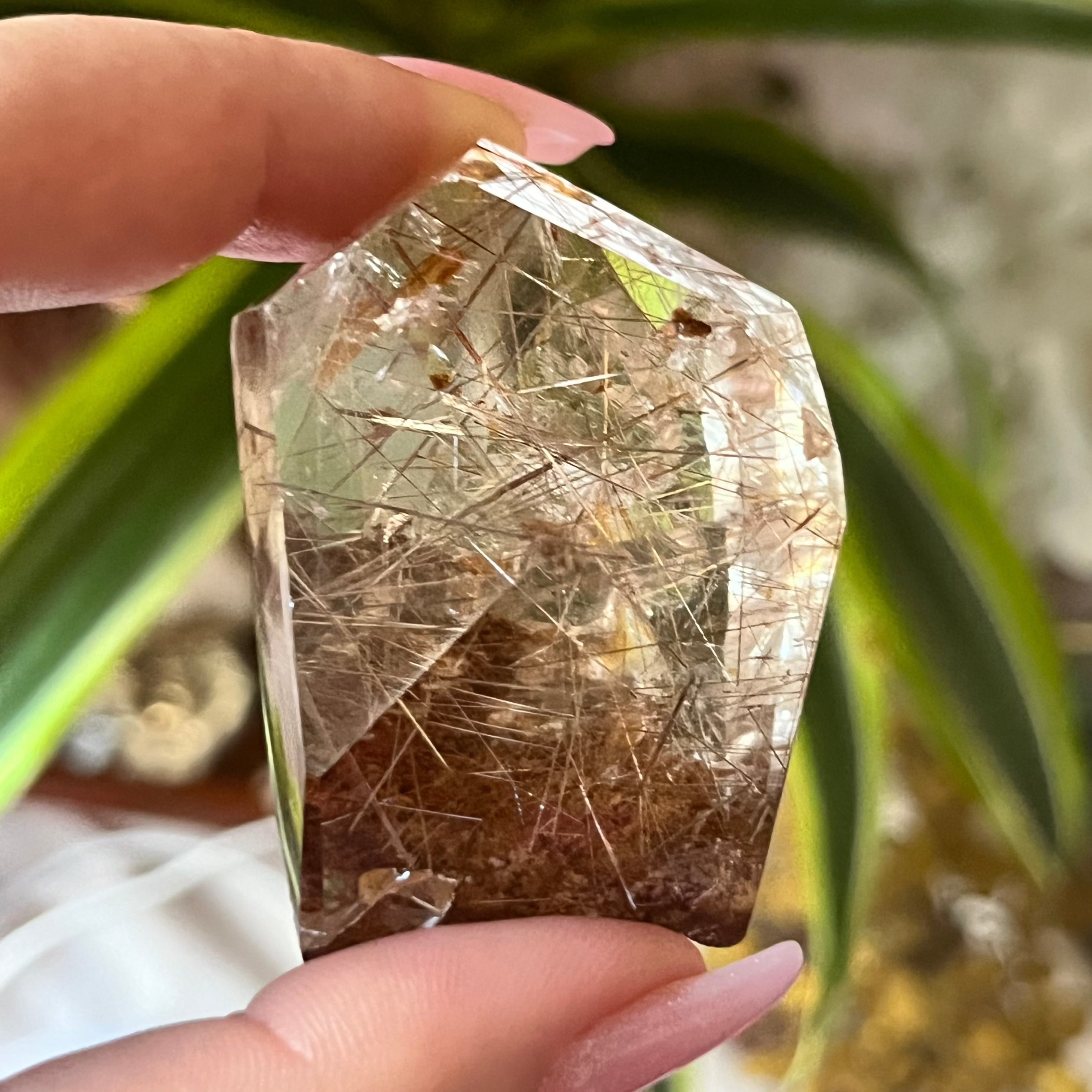 Rutilated Quartz Top Polished Point Crystals