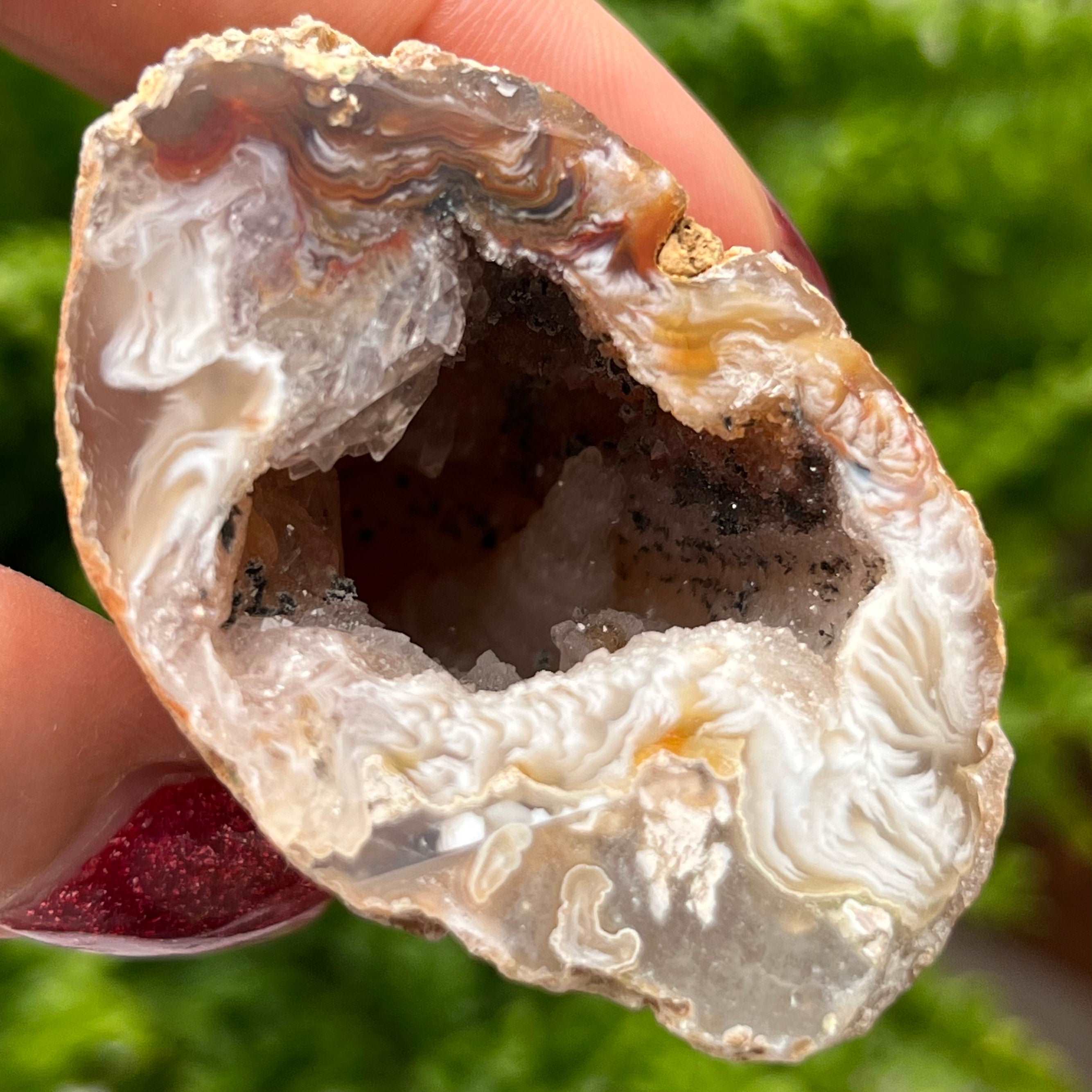 Oco Agate Druzy Geode Halves Crystals
