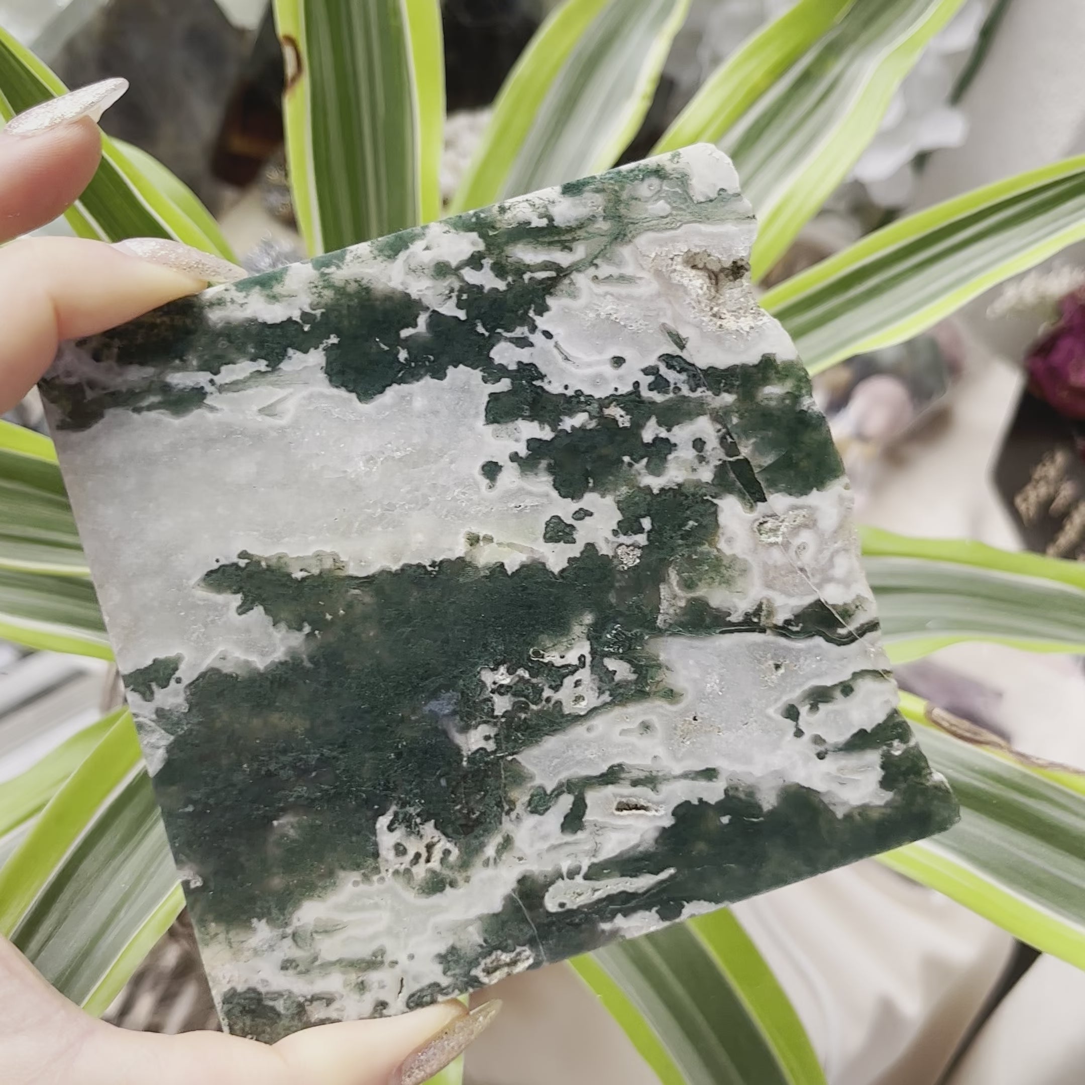 Moss Agate Slice - Optimism & Courage