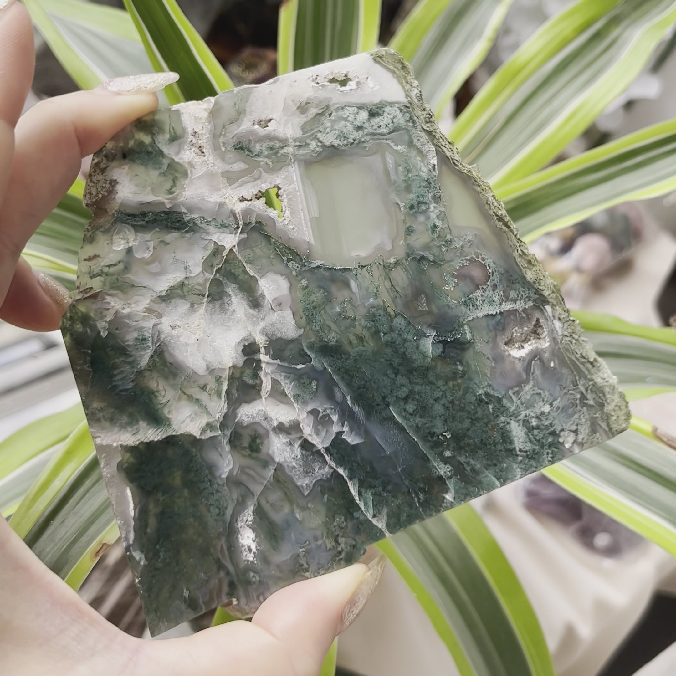 Moss Agate Slice - Optimism & Courage