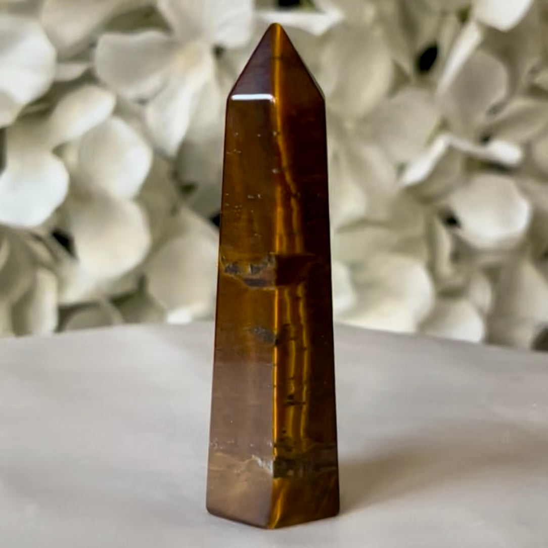 Tiger Eye Point - Courage & Protection 2- 6.6cm Crystals