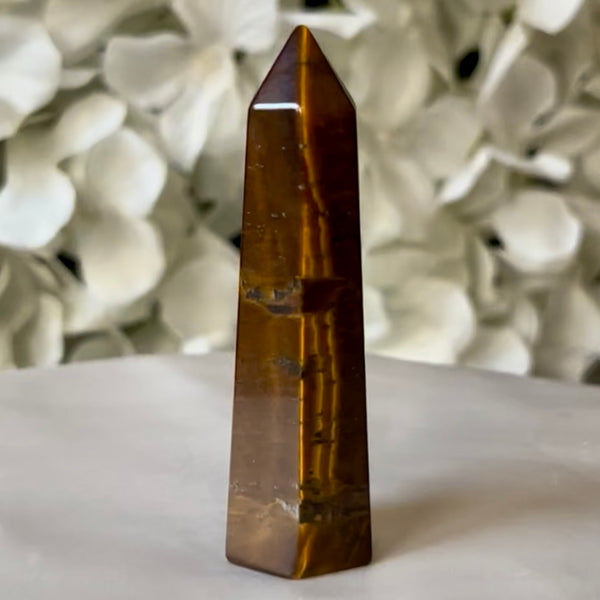 Tiger Eye Point - Courage & Protection 2- 6.6cm Crystals