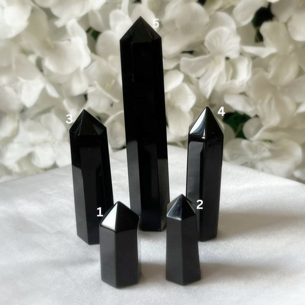 Black Obsidian Polished Point - Protection & Awareness Crystals