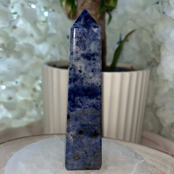 Sodalite Obelisk - Wisdom & Guidance Crystals