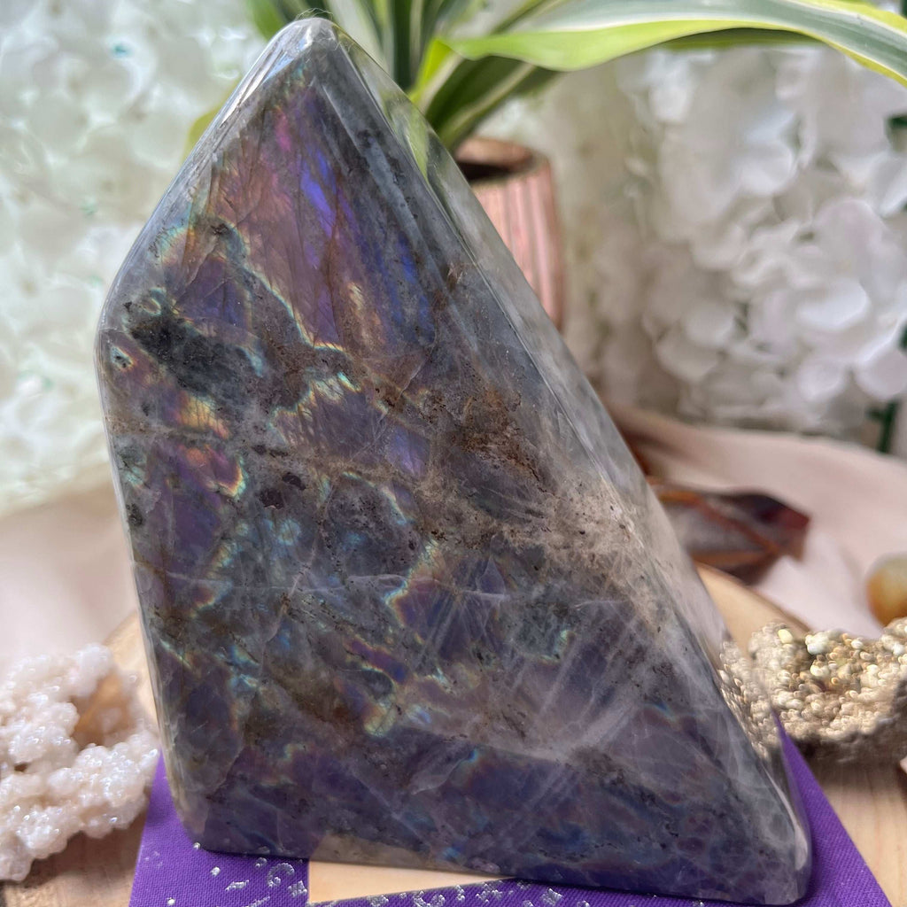 Labradorite Freeform (Purple Flash) - Magic & Clairvoyance Crystals