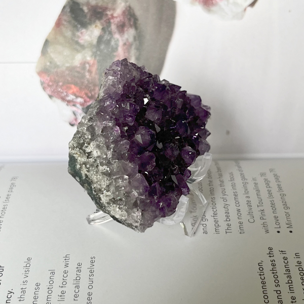 Amethyst Drusy Clusters (Uruguay) - Spirituality & Transmutation