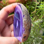 Purple Agate Cut Base Geode - Stability & Courage