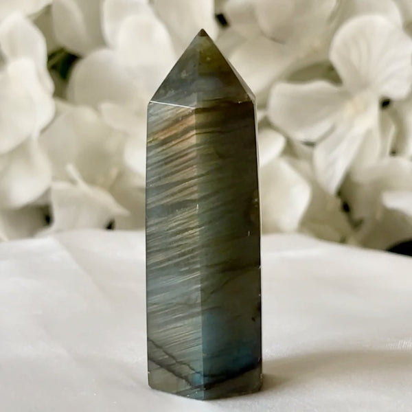 Labradorite Polished Point - Magic & Clairvoyance 2- 6cm x 2cm Crystals