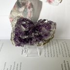 Amethyst Drusy Clusters (Uruguay) - Spirituality & Transmutation