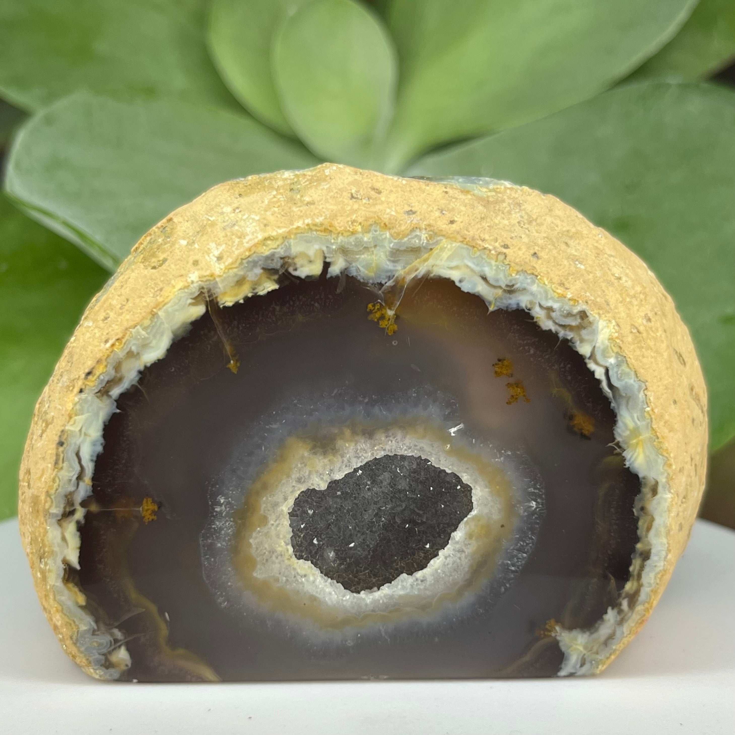 Natural Agate Cut Base Geode - Balance & Harmony 6- 5.7cm x 8.7cm Crystals