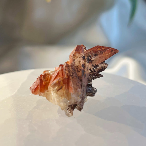 Red River Quartz Cluster 3- 3.9cm Crystals