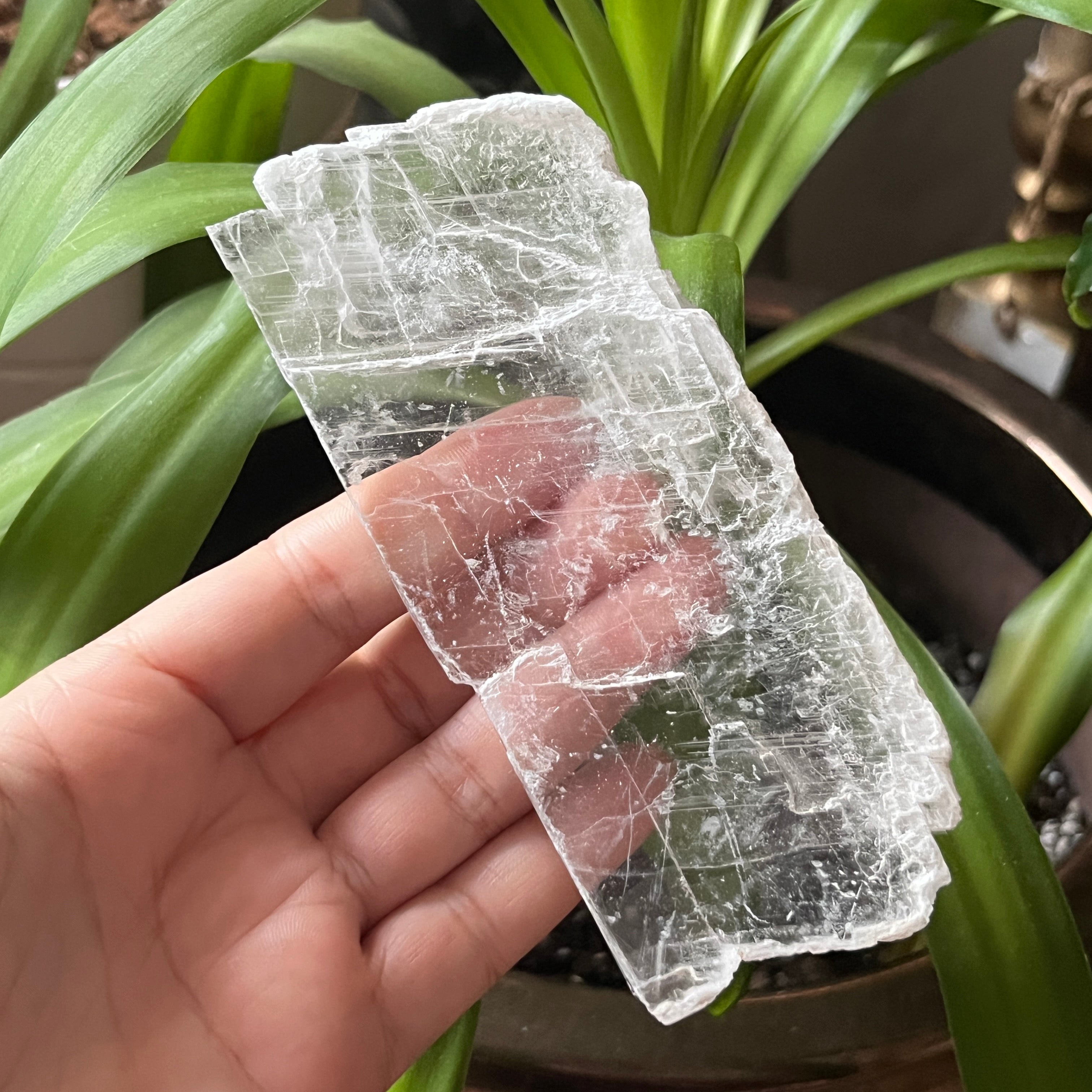 Rough Selenite Gypsum - Cleansing & Purification