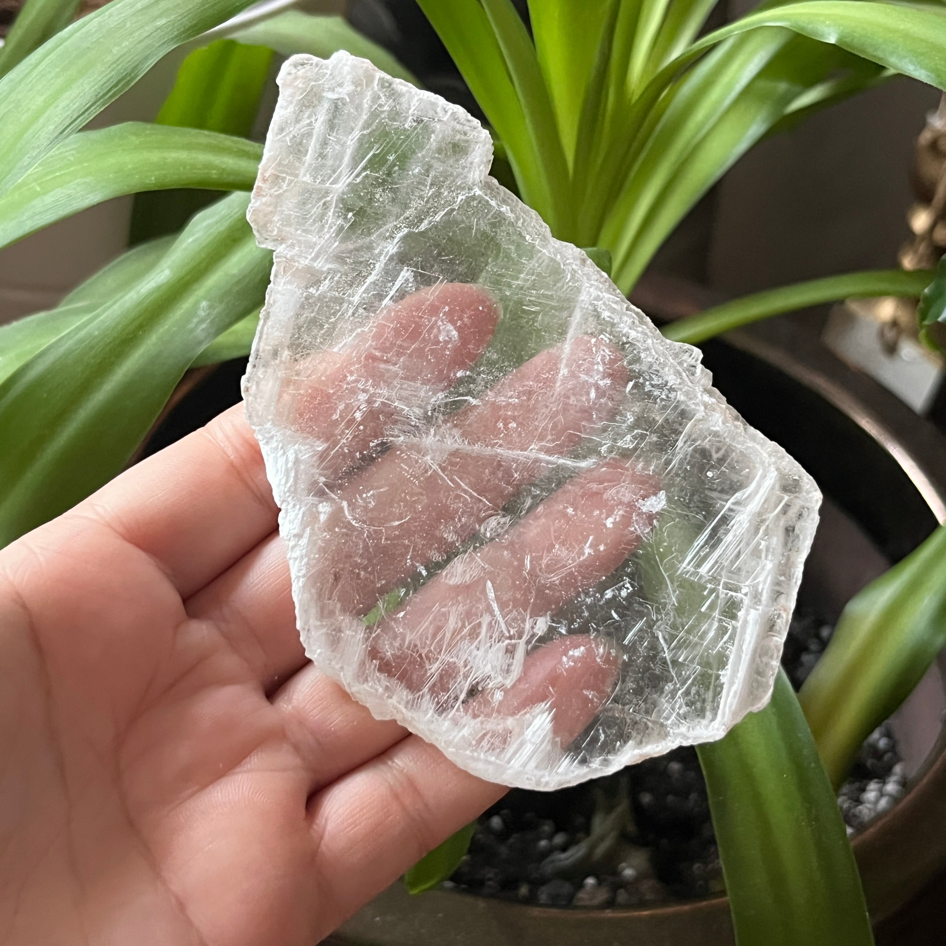 Rough Selenite Gypsum - Cleansing & Purification