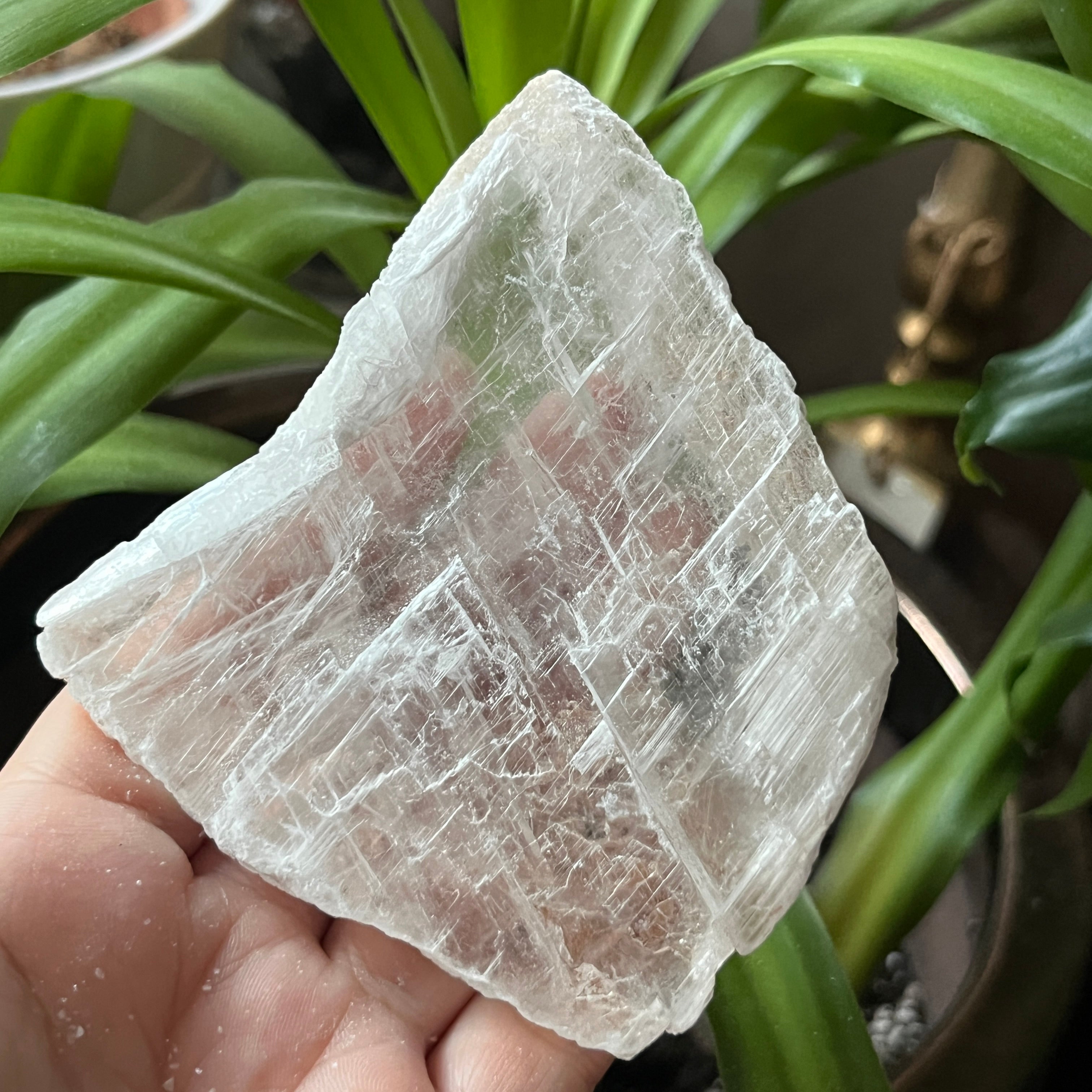 Rough Selenite Gypsum - Cleansing & Purification