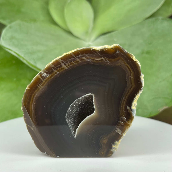 Natural Agate Cut Base Geode - Balance & Harmony 3- 5.8cm x 5.5cm Crystals