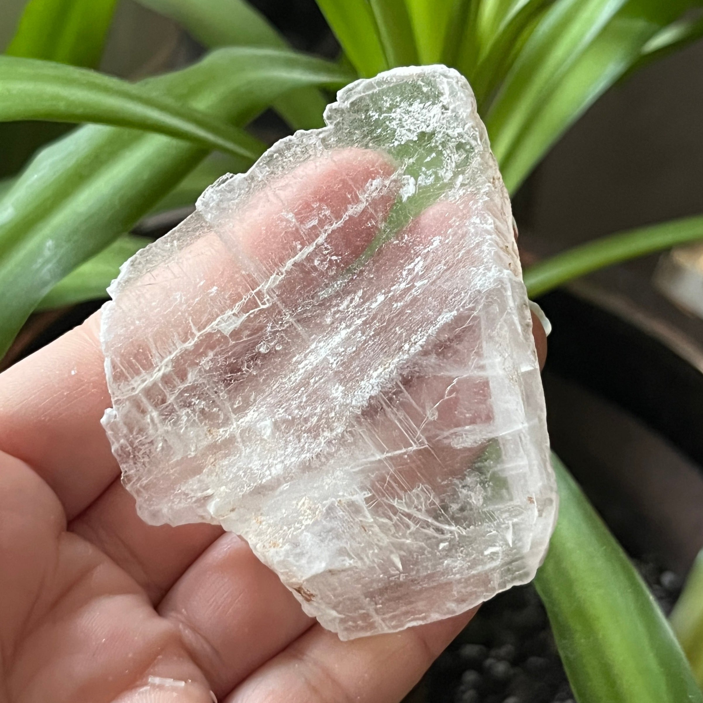 Rough Selenite Gypsum - Cleansing & Purification