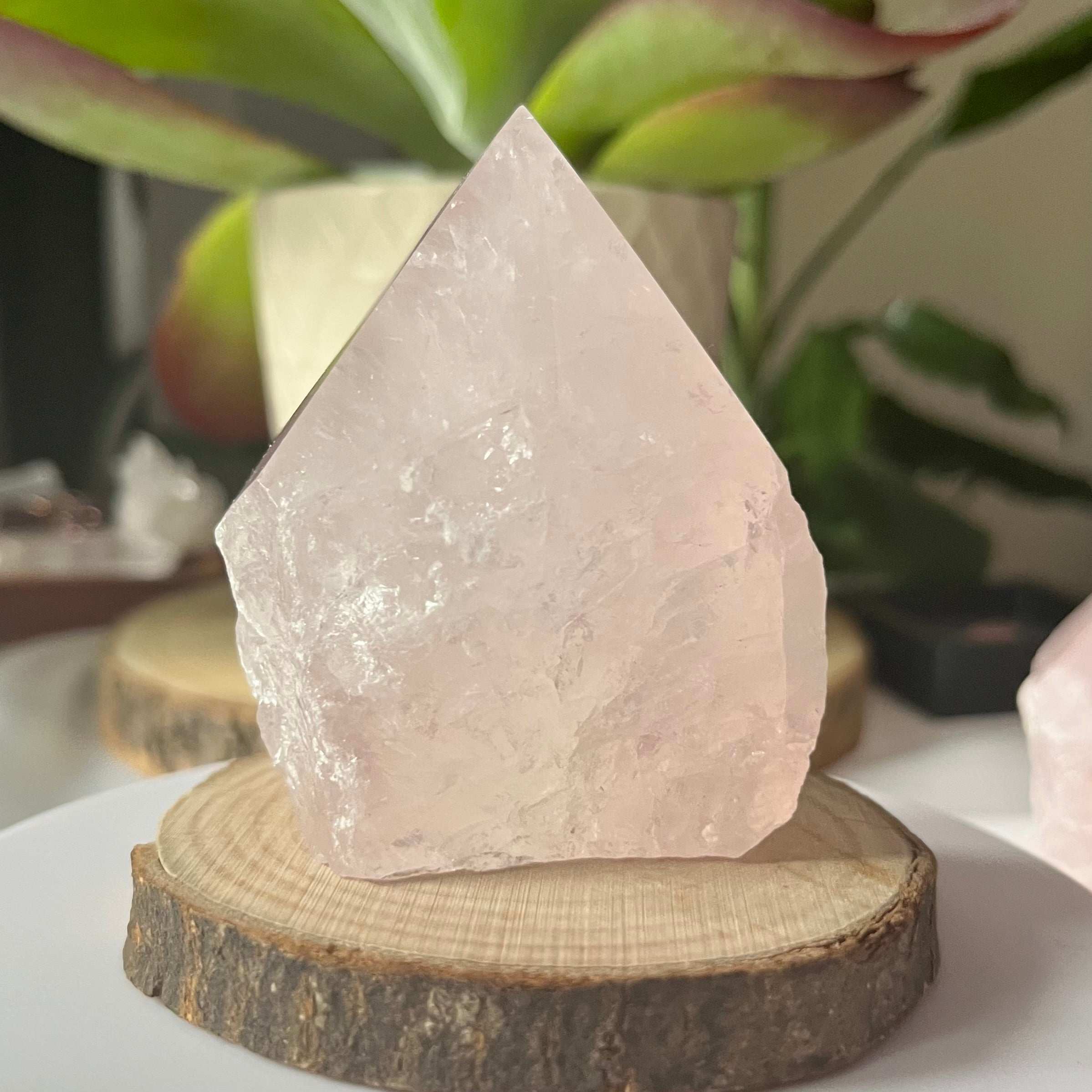Rose Quartz Cut Base Point - Unconditional Love Crystals