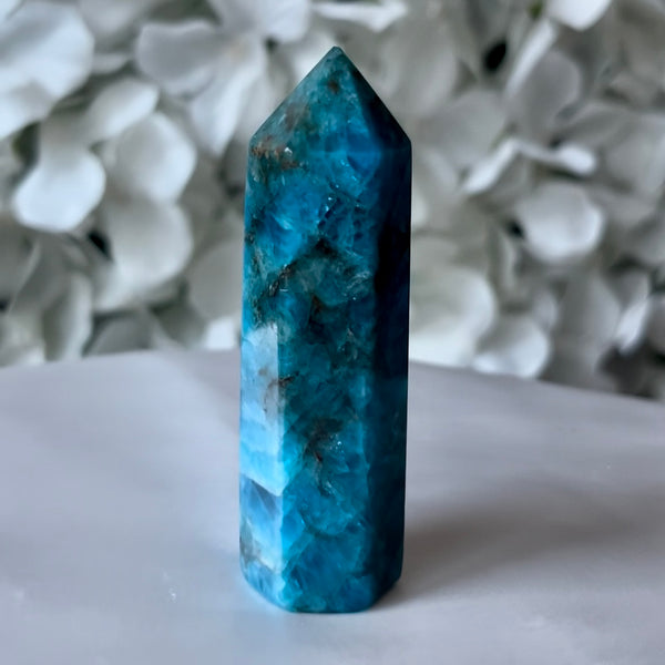 Blue Apatite Point - Intuition & Enlightenment Crystals