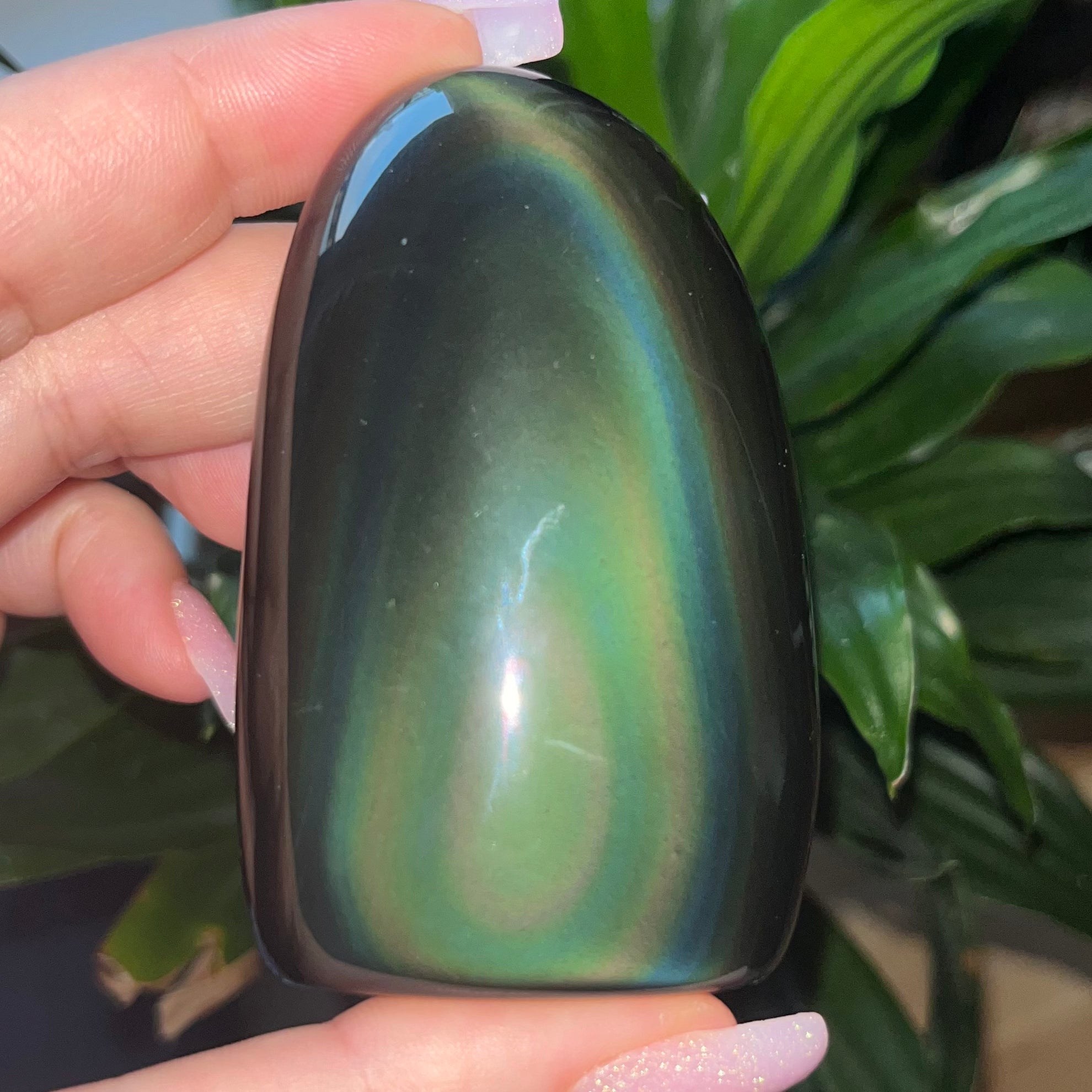 Rainbow Obsidian Freeform 3- 7.2cm x 4.6cm Crystals