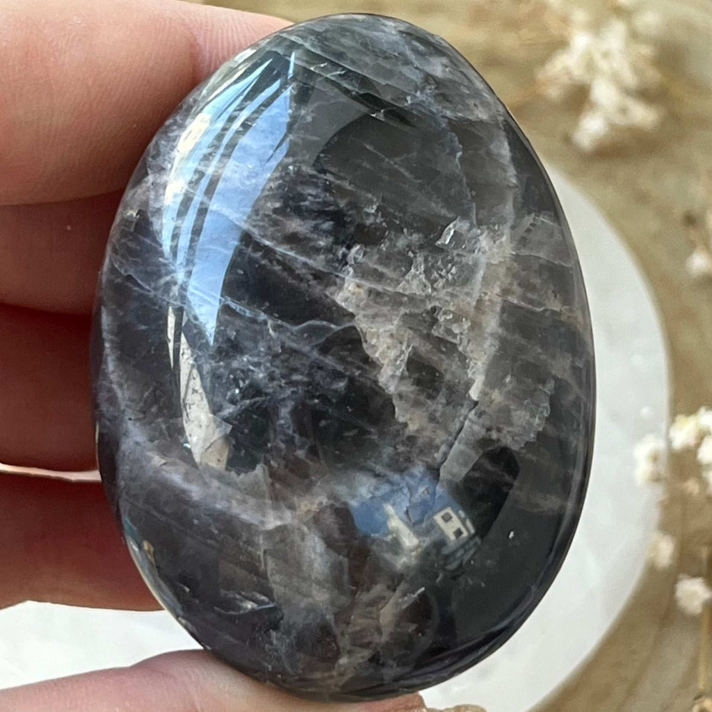 Black Moonstone Palmstone - New Beginnings & Protection Crystals