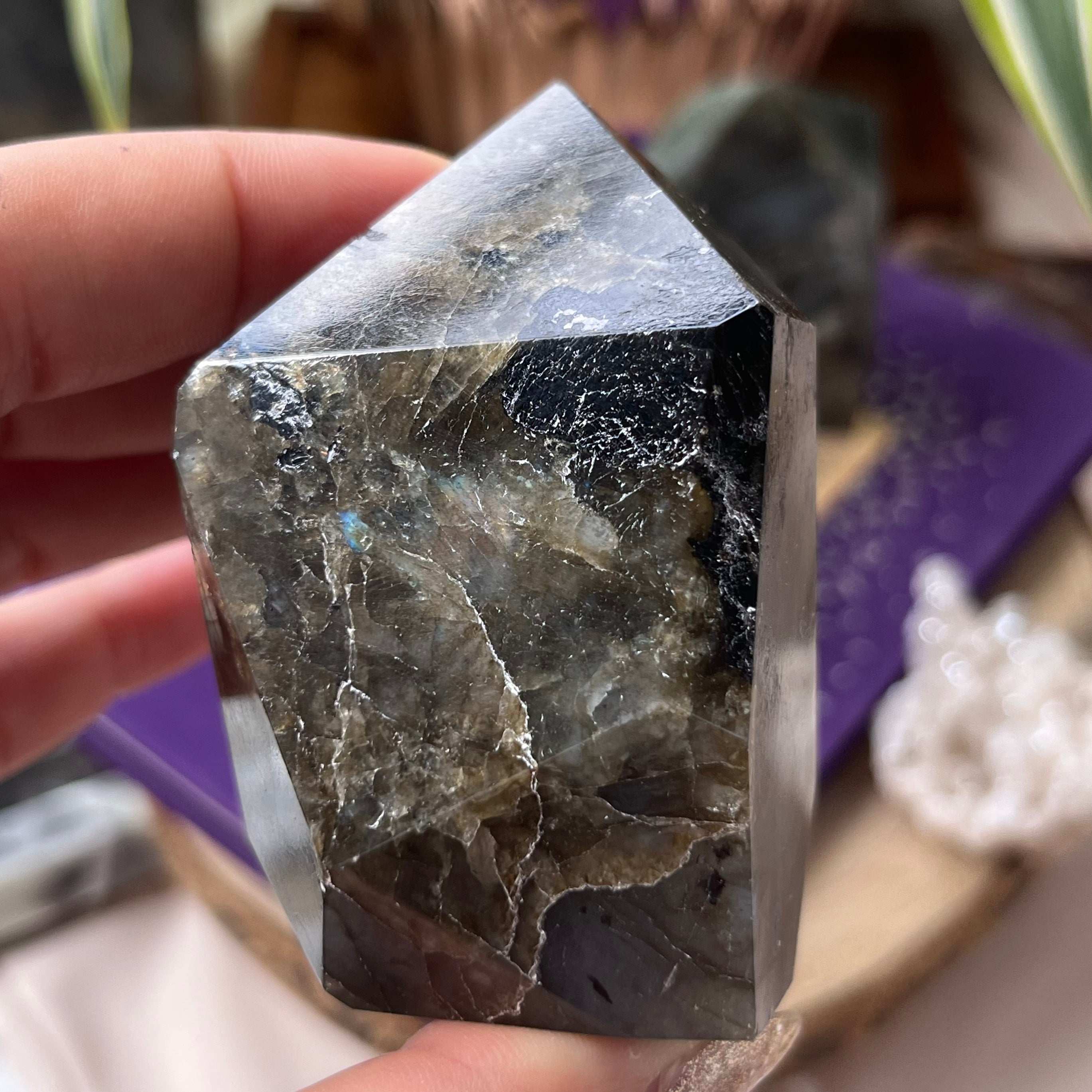 Labradorite Faceted Freeform - Magic & Clairvoyance 2- 7cm x 5cm Crystals