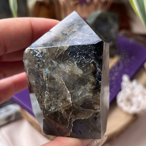 Labradorite Faceted Freeform - Magic & Clairvoyance 2- 7cm x 5cm Crystals