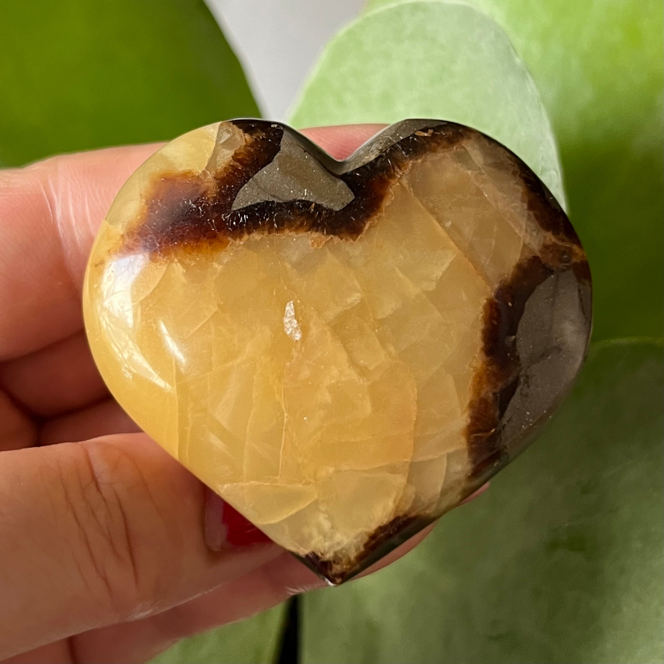 Septarian Heart - Grounding & Stability Crystals