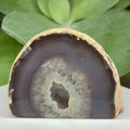 Natural Agate Cut Base Geode - Balance & Harmony 5- 5.6cm x 7.8cm Crystals