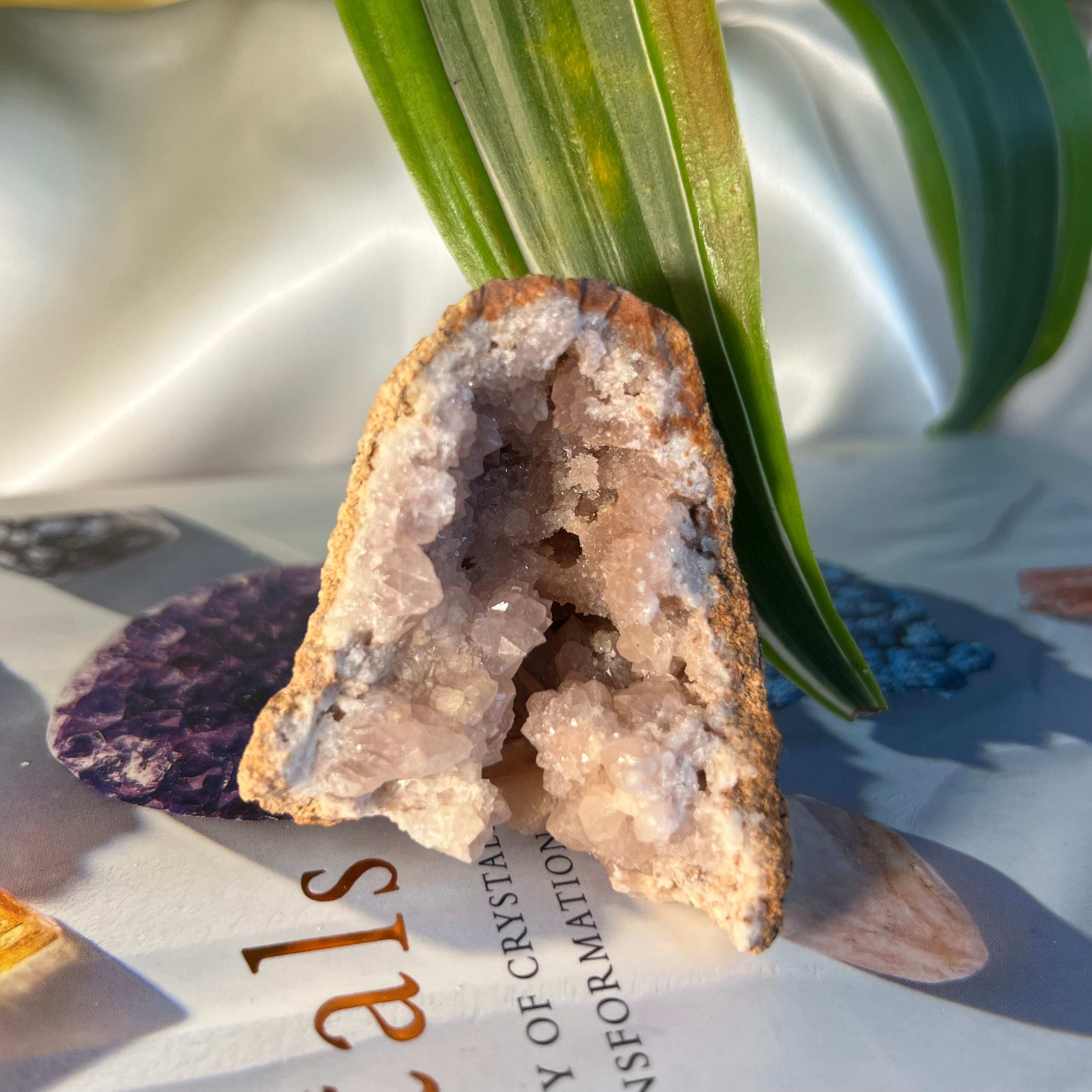 Pink Amethyst Clusters - Emotional Healing & Wisdom 3 - 5.2cm x 4cm Crystals