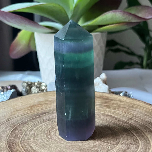 Fluorite Polished Point - Intuition & Protection Crystals
