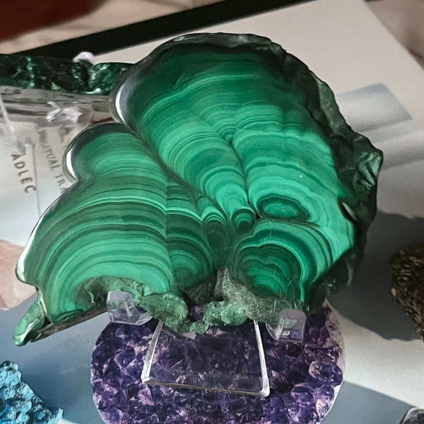 Malachite Slice - Courage & Vitality 1- 9.2cm x 6.7cm Crystals