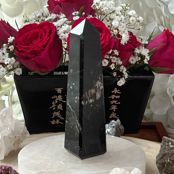 Black Tourmaline Obelisk - Energetic Protection 3- 10.7cm Crystals