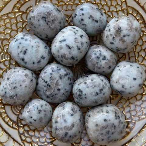 Kiwi Jasper Tumblestones Crystals