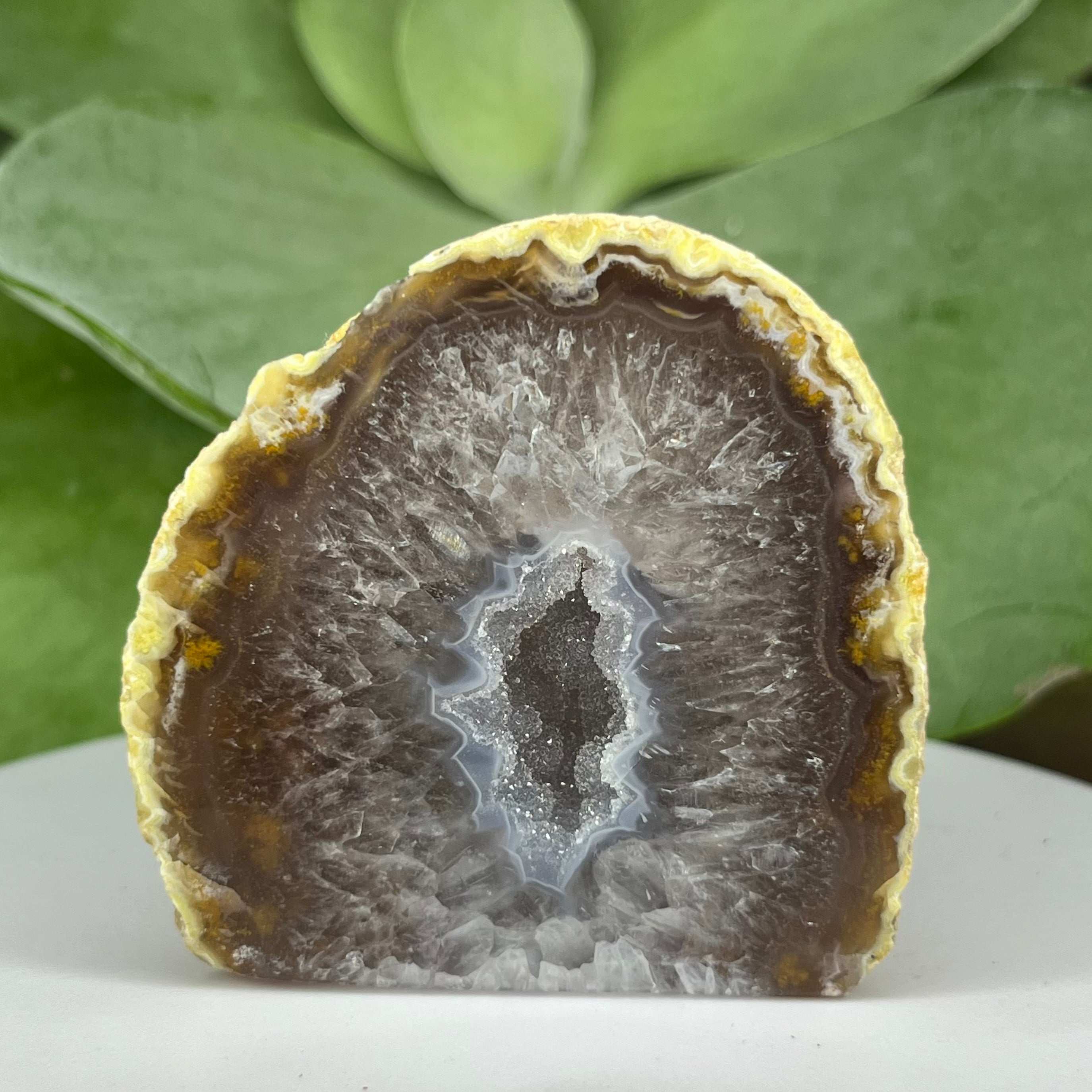 Natural Agate Cut Base Geode - Balance & Harmony 4- 5.8cm x 5.9cm Crystals