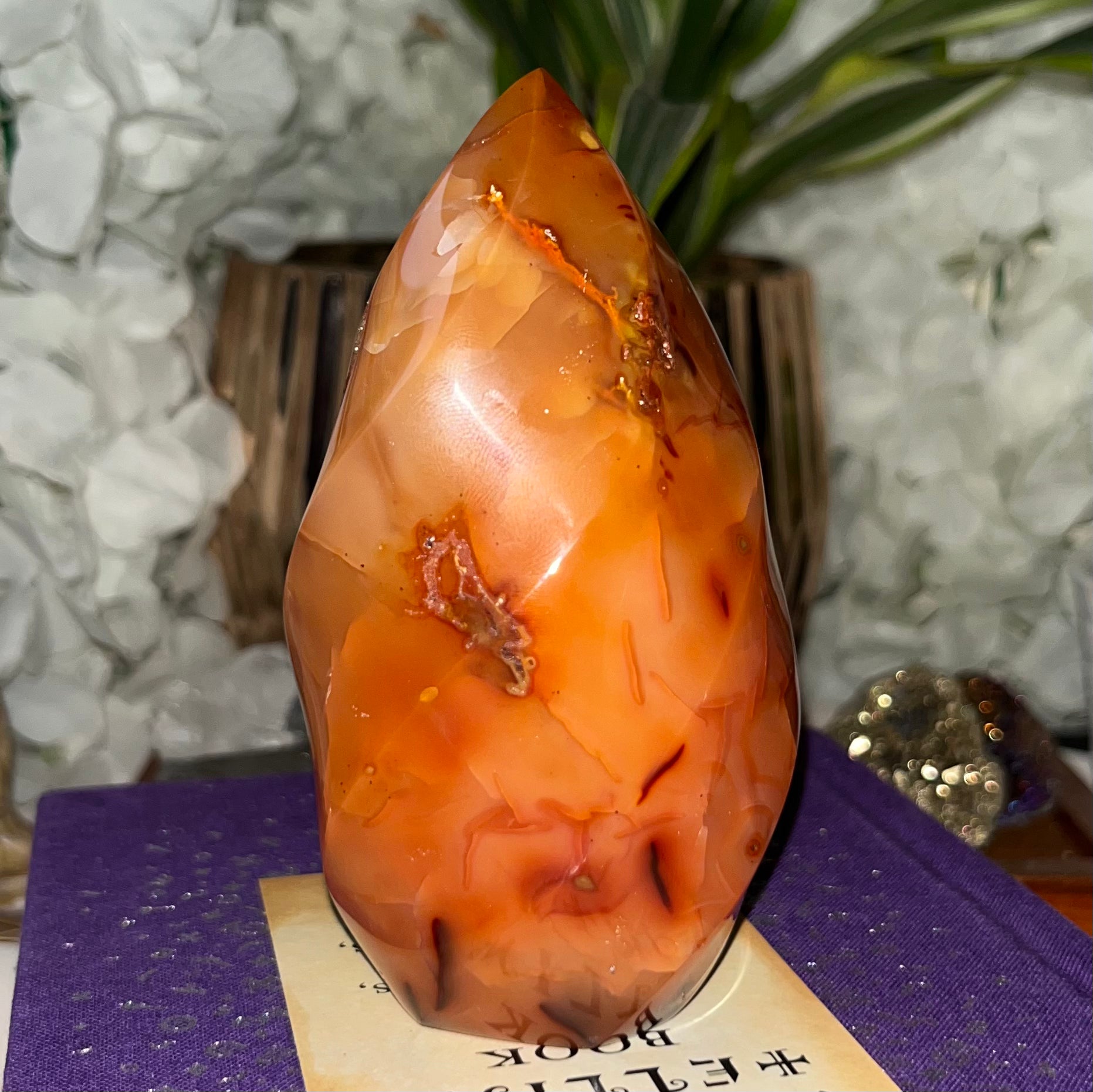 Carnelian Flame - Vitality & Courage Crystals