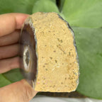 Natural Agate Cut Base Geode - Balance & Harmony Crystals