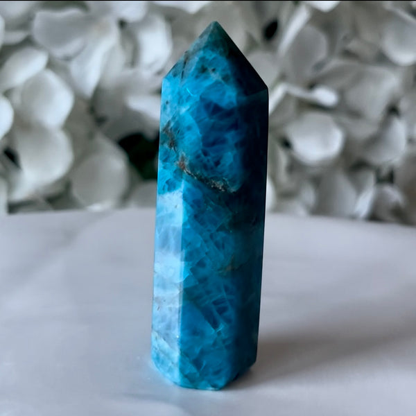 Blue Apatite Point - Intuition & Enlightenment Crystals