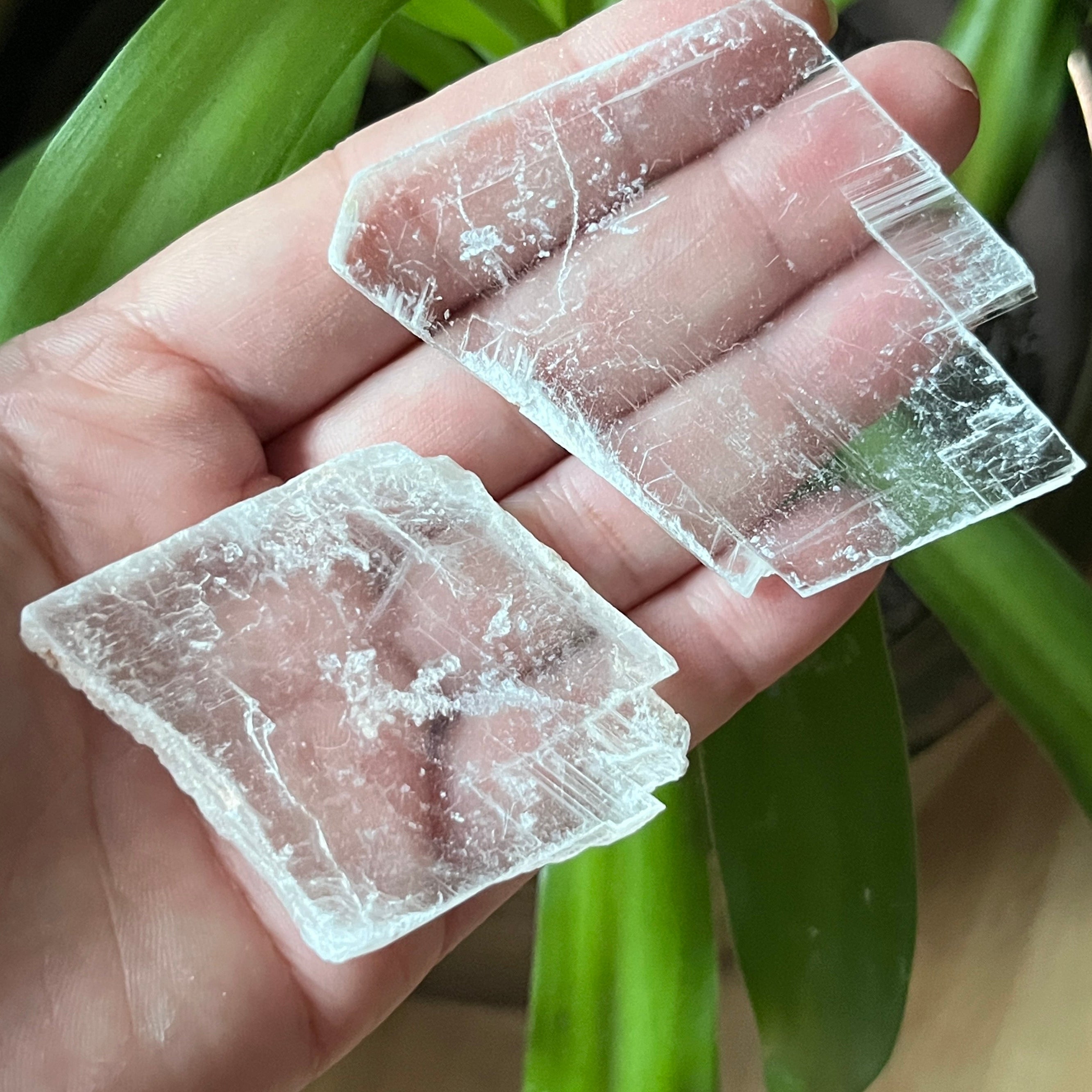 Rough Selenite Gypsum - Cleansing & Purification