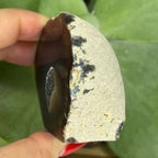 Natural Agate Cut Base Geode - Balance & Harmony Crystals