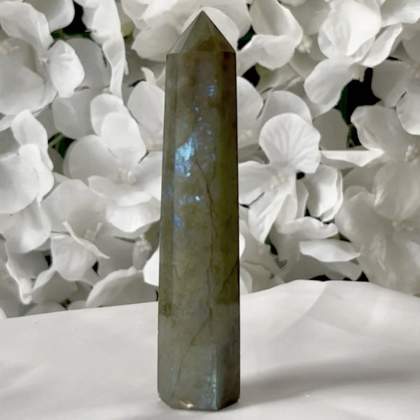 Labradorite Polished Point - Magic & Clairvoyance 5- 9.7cm x 2cm Crystals