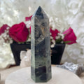 Kambaba (Crocodile) Jasper Point - Calm & Harmony 9cm Crystals