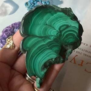 Malachite Slice - Courage & Vitality Crystals