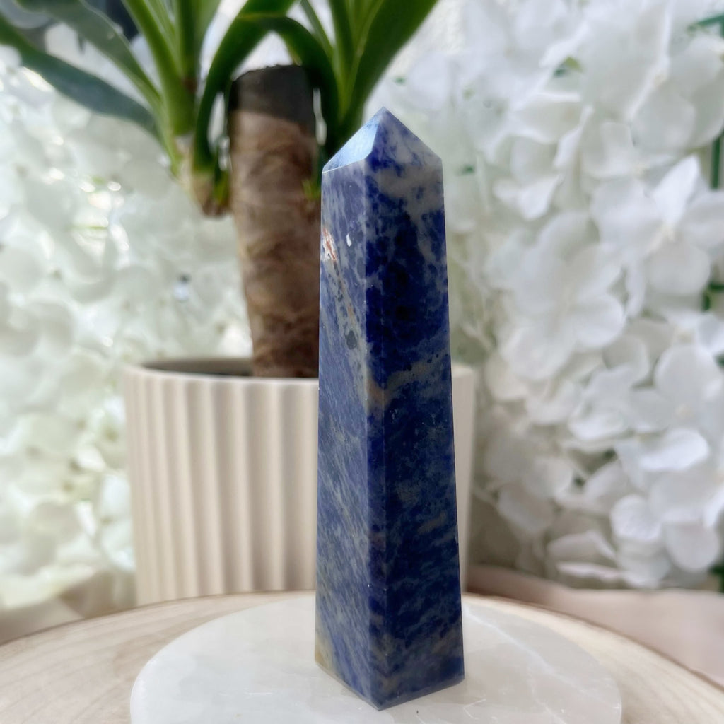 Sodalite Obelisk - Wisdom & Guidance Crystals