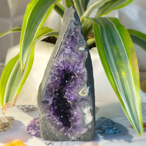 Amethyst Mini Church Crystals