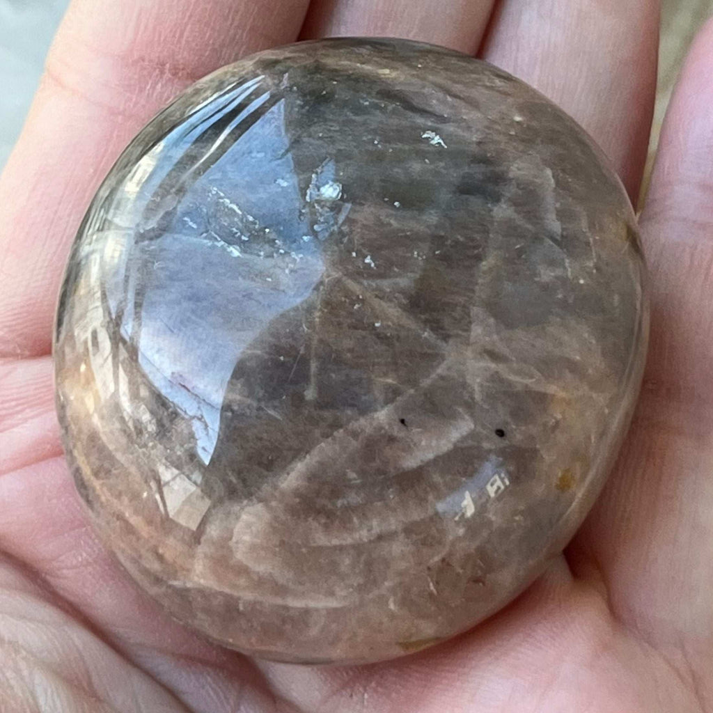 Black Moonstone Palmstone - New Beginnings & Protection Crystals